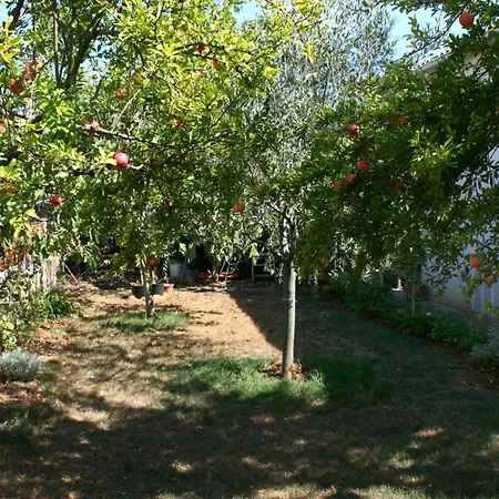 With A Parking Space - 6985 * Pula
