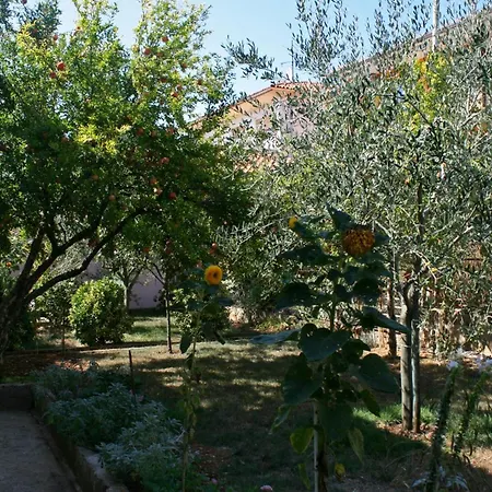 With A Parking Space - 6985 Apartamento