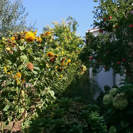 Apartman Apartments With A Parking Space Pula - 6985 Pula