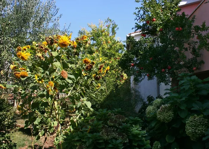 Апартаменты With A Parking Space - 6985 Пула